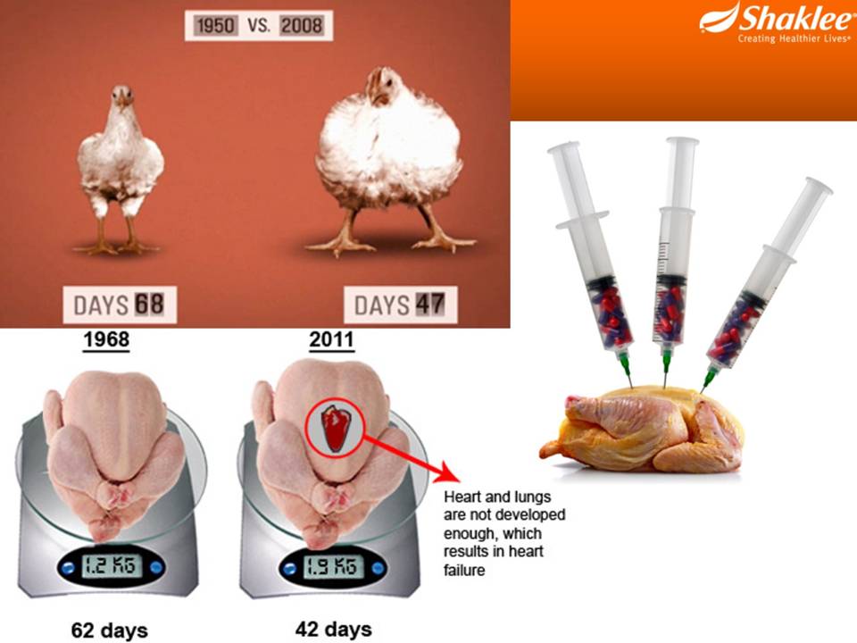 produk shaklee berbahaya