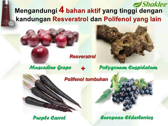 bahan2 vivix
