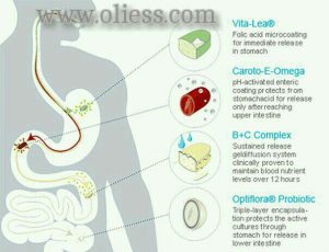 vitamin-shaklee-dan-buah-pinggang
