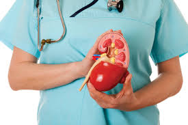 Rawatan sakit buah pinggang semulajadi dan berkesan