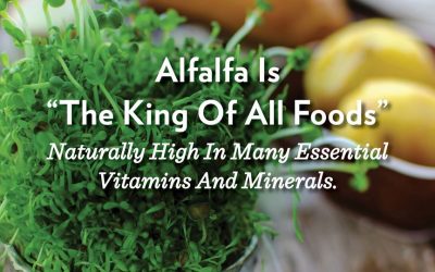 Alfalfa Shaklee