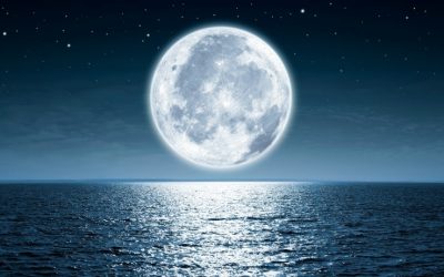 Apa Yang Anda Perlu Tahu Tentang ‘Full Moon ‘ Dan Parasit Badan